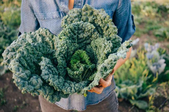 Why is Kale the new IT girl?
